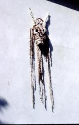 File0061.jpg